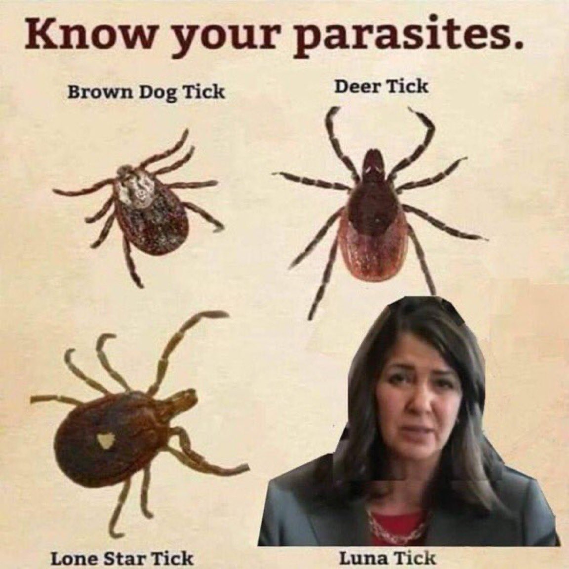 PSA! 

With the warmer weather on the way, it's important to educate yourself about the different ticks that can be found all over Alberta.

Learn to recognize this and all the UCP varieties to keep your friends and family safe from these parasites!
#abpoli #ableg #abhealth