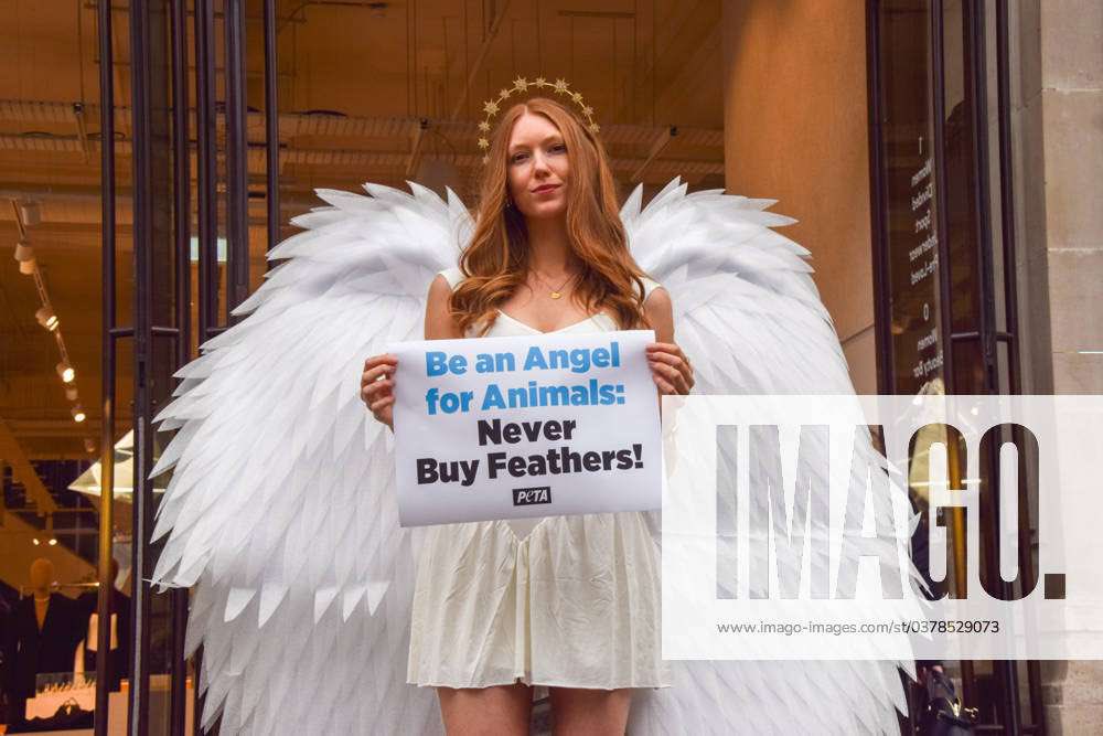 Be an Angel for the Animals: leave on them whatever they were born in.