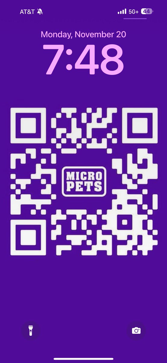 MicroPets 🐶 tweet media