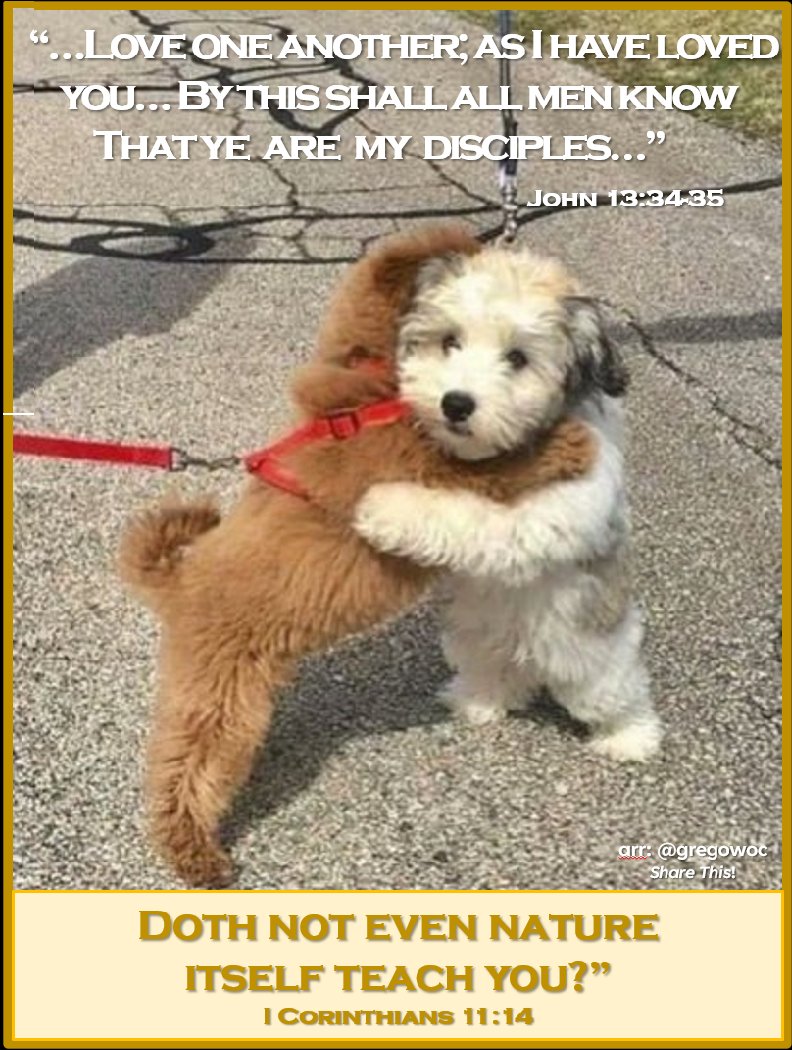 Greg Owoc (@gregowoc) on Twitter photo 