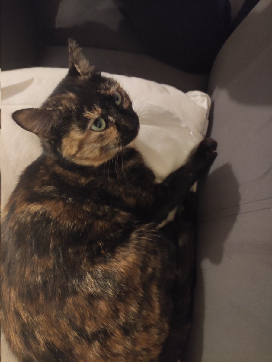 Ya allaşkına şu çocuğu biriniz alın ne olur. Almayanlar paylaşsın, elinize yapışmaz. Yer: Antalya İletişim:Ben