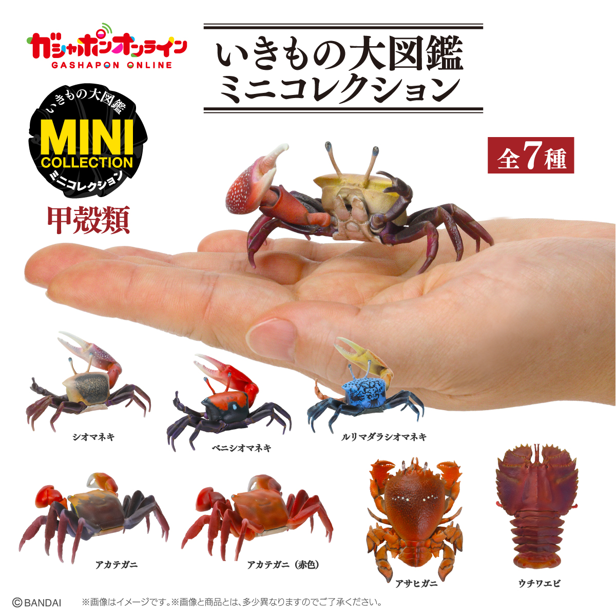 いきもの大図鑑ミニコレクション 甲殻類 （税込500円） ＼ #ガシャポン