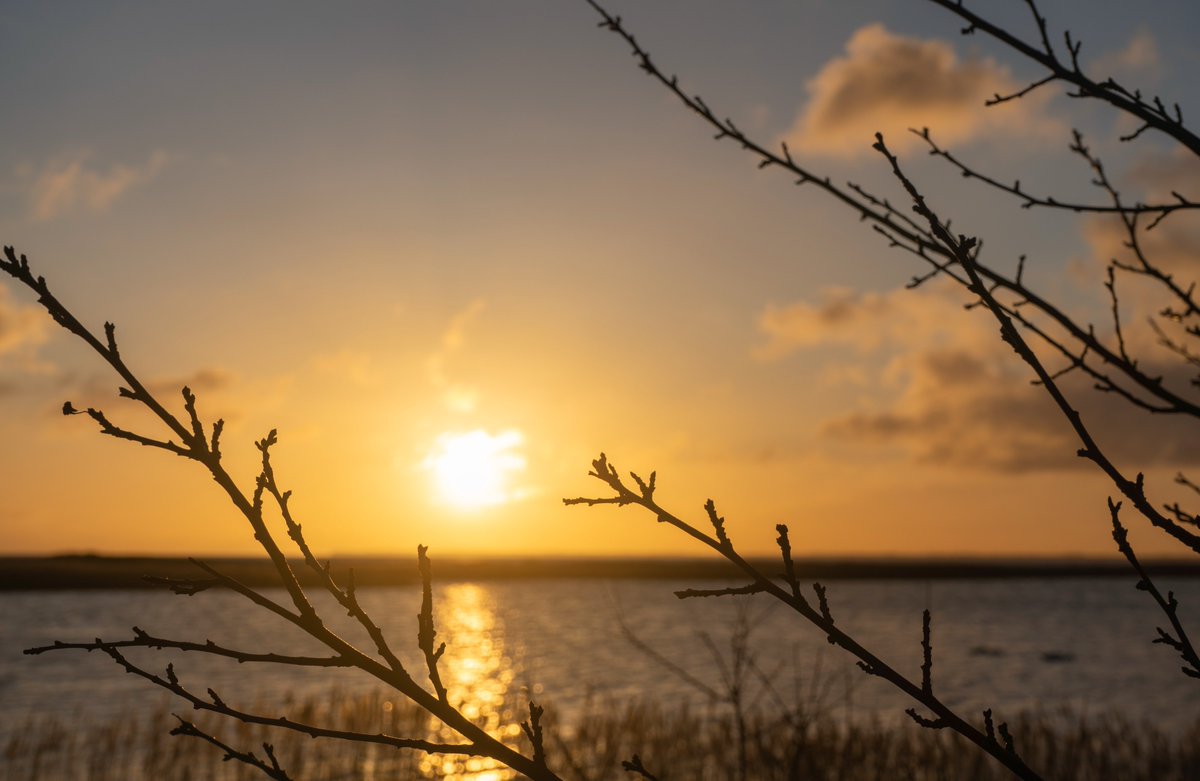 DorteHedengran's tweet photo. Such a beautiful December morning ☀️
#Denmark #SonyAlpha #NaturePhotography #photooftheday #December23th #SaturdayVibes #SaturdayMorning #Saturday #sunrise
📸Dorte Hedengran https://t.co/coB7bhbboo
