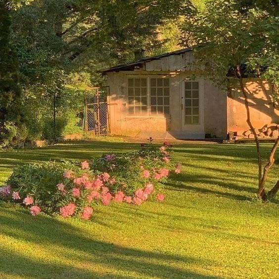 the life i dream of.