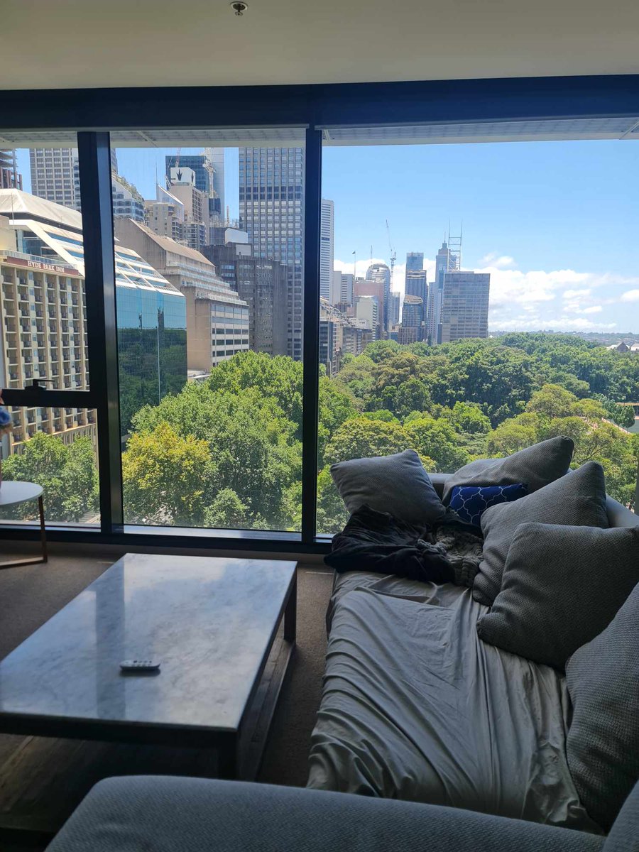 twinklechaves's tweet photo. as i house and cat-sit in this beautiful condo in the city

sipping my coffee in the balcony
waiting for the antihistamine to take effect
*cat allergy worse than ever*

2023 has been bitter sweet
but would not change any

2024 i am watching you
walls higher with lil trojan horses https://t.co/fxySAvyKOI