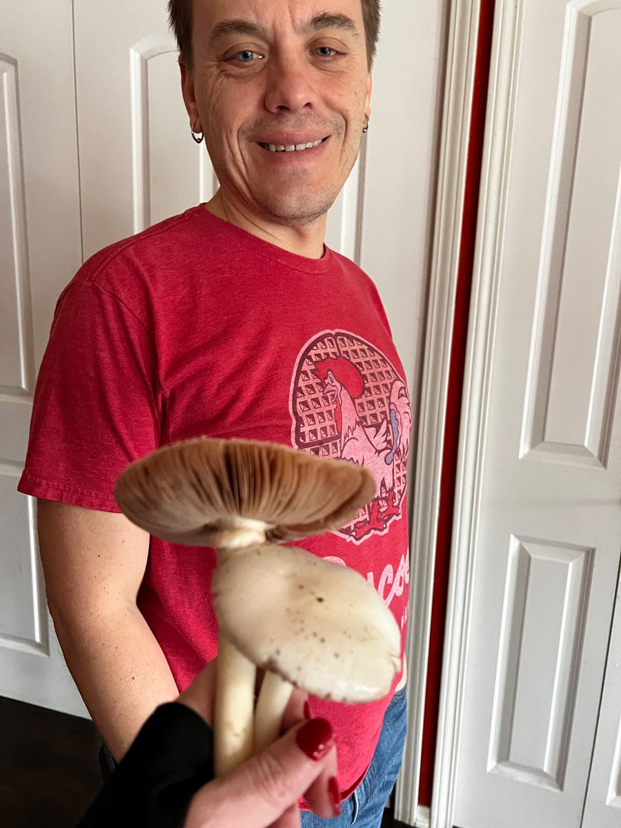 pathgirl19's tweet photo. Brought @PixyJunket a bouquet 

#mycophile https://t.co/bdOSObfGXz