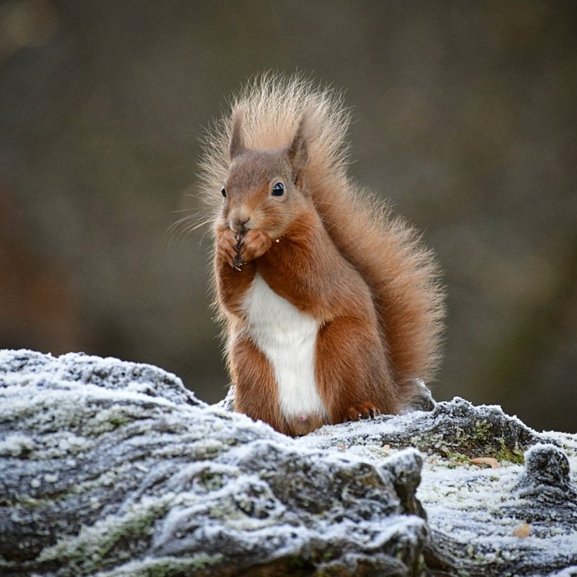 Yvonne Findlay tweet media