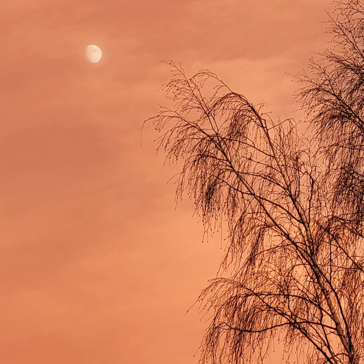 beanobowers's tweet photo. Who doesn't love an apocalyptic sky towards the end of the year... https://t.co/QX7bBBxKNK