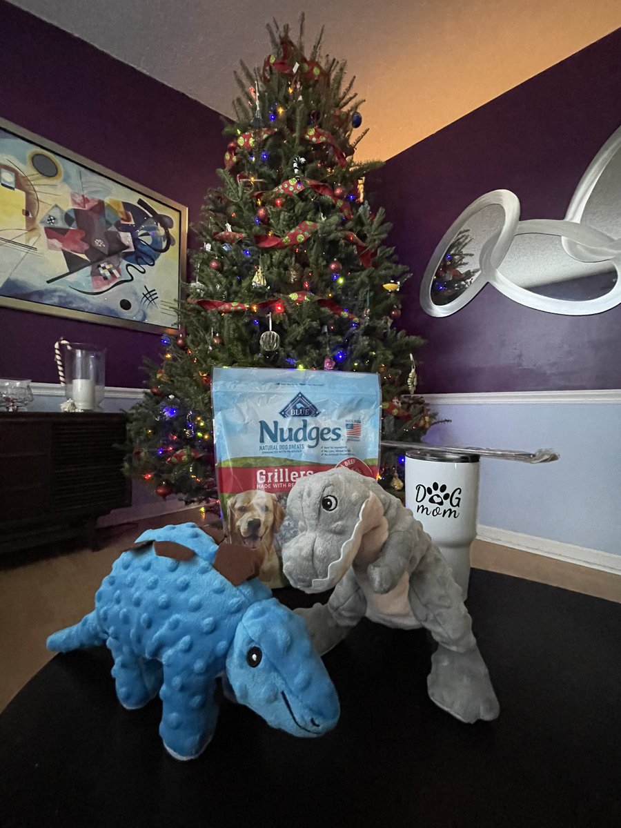 Mbss4G's tweet photo. Ray-Ray says… Thank you, grandma Robyn from https://t.co/Y7tQkrvzXs
For all the goodies you sent us. Best home breeder ever.🐶❤️🐶 https://t.co/6AYgXD8Vyj