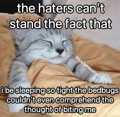 literallymecats's tweet image. 