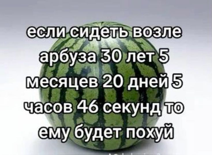 enofanova's tweet photo. я снова забила на твиттер потому что у меня начались жуткие вечерние смены в ресторане https://t.co/qLYVI1ixns