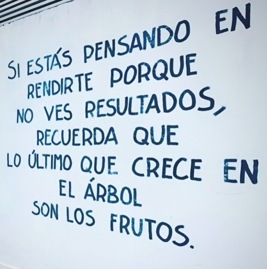 DEBORAHKAHAN1's tweet photo. Brillante 👏 
Resiliencia. Perseverancia. Esfuerzo. Mérito. Resultados. 
A no decaer. #SiSePuede.
¡Viva la patria!🇦🇷❤️ https://t.co/kCJHHpuQbU