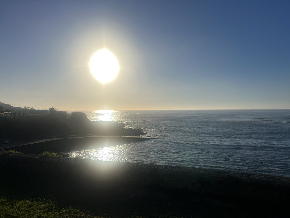 Maria Rua Aguete tweet media