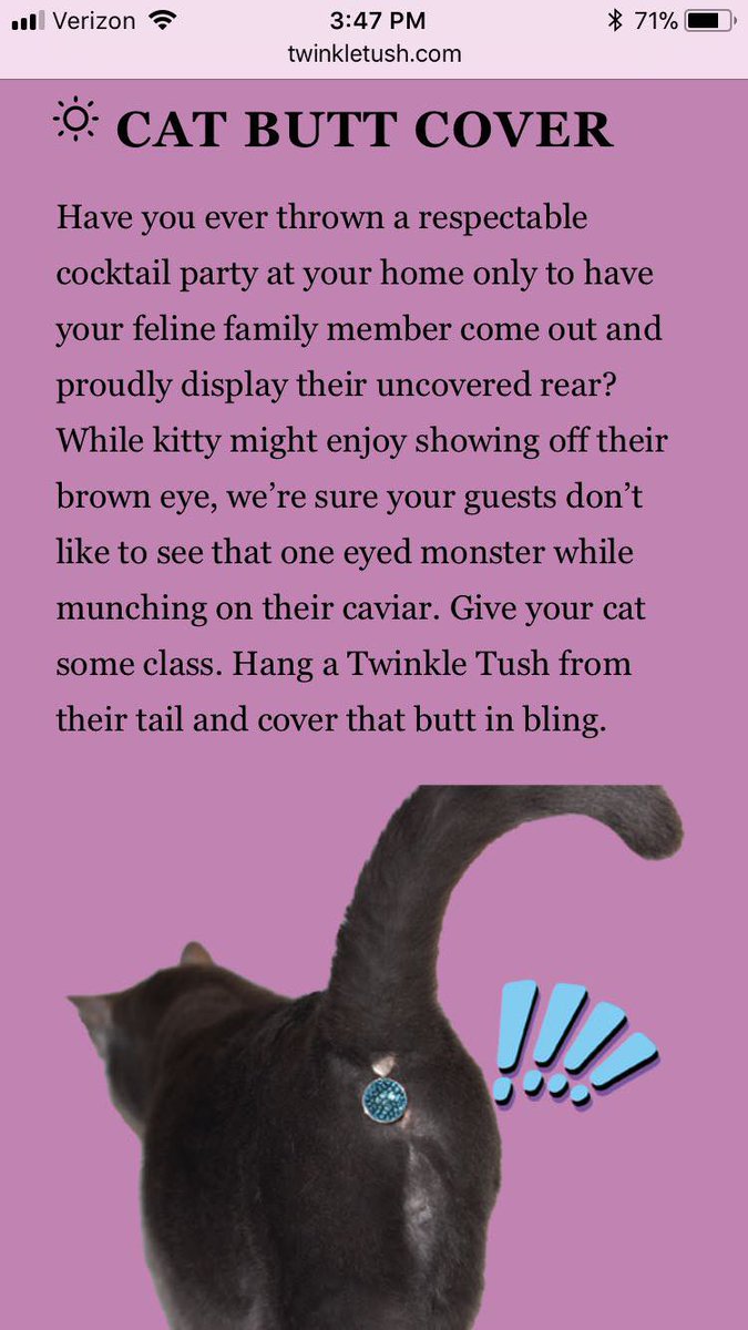 TwinkleTushSol's tweet photo. $tush gives your cat that style they’ve been lacking https://t.co/G092Hc45GI