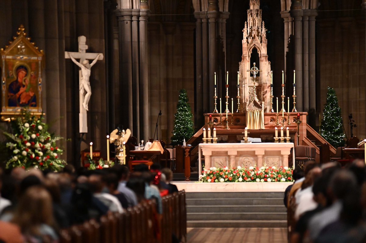 Channel 31 (@c31melbourne) on Twitter photo Tune in to #C31Melbourne today at 11am, tonight at 11:30pm and tomorrow from 11am for our special live Christmas broadcasts from St. Patrickās Cathedral via <a href="/catholicmelb/">Melbourne Catholic</a> Tune in to #C31Melbourne today at 11am, tonight at 11:30pm and tomorrow from 11am for our special live Christmas broadcasts from St. Patrickās Cathedral via <a href="/catholicmelb/">Melbourne Catholic</a>