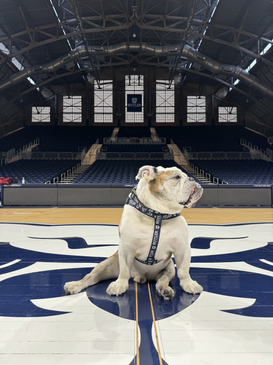 Butler Blue III tweet media