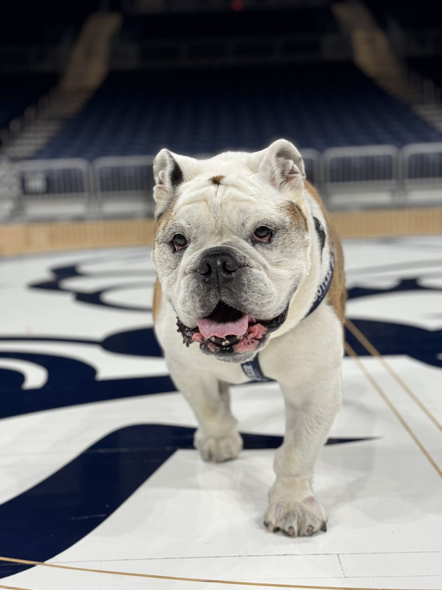 Butler Blue III tweet media