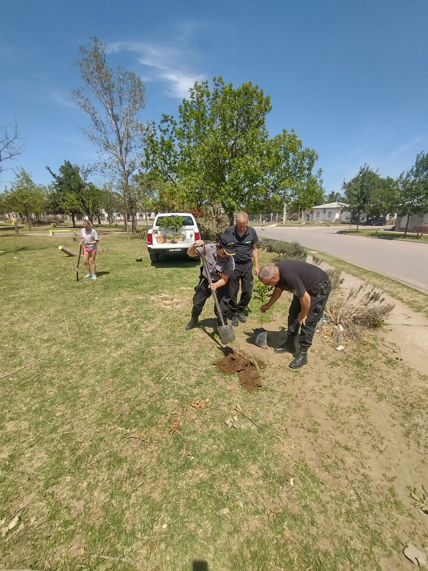 xavierareses's tweet photo. Grupos integrados por personal del Servicio Penitenciario Bonaerense se presentaron este sábado en dos barrios de Bahía Blanca para plantar árboles, tras el temporal que afectó a la ciudad.
https://t.co/zkpx2Vi6K3 https://t.co/ikORr9I8vr