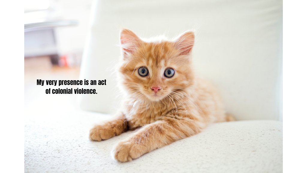 SatireSquad (@satiresquad) on Twitter photo 