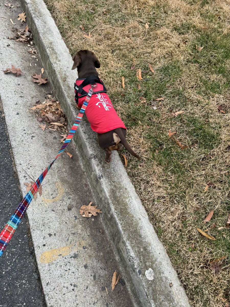 Honest Citizen tweet media