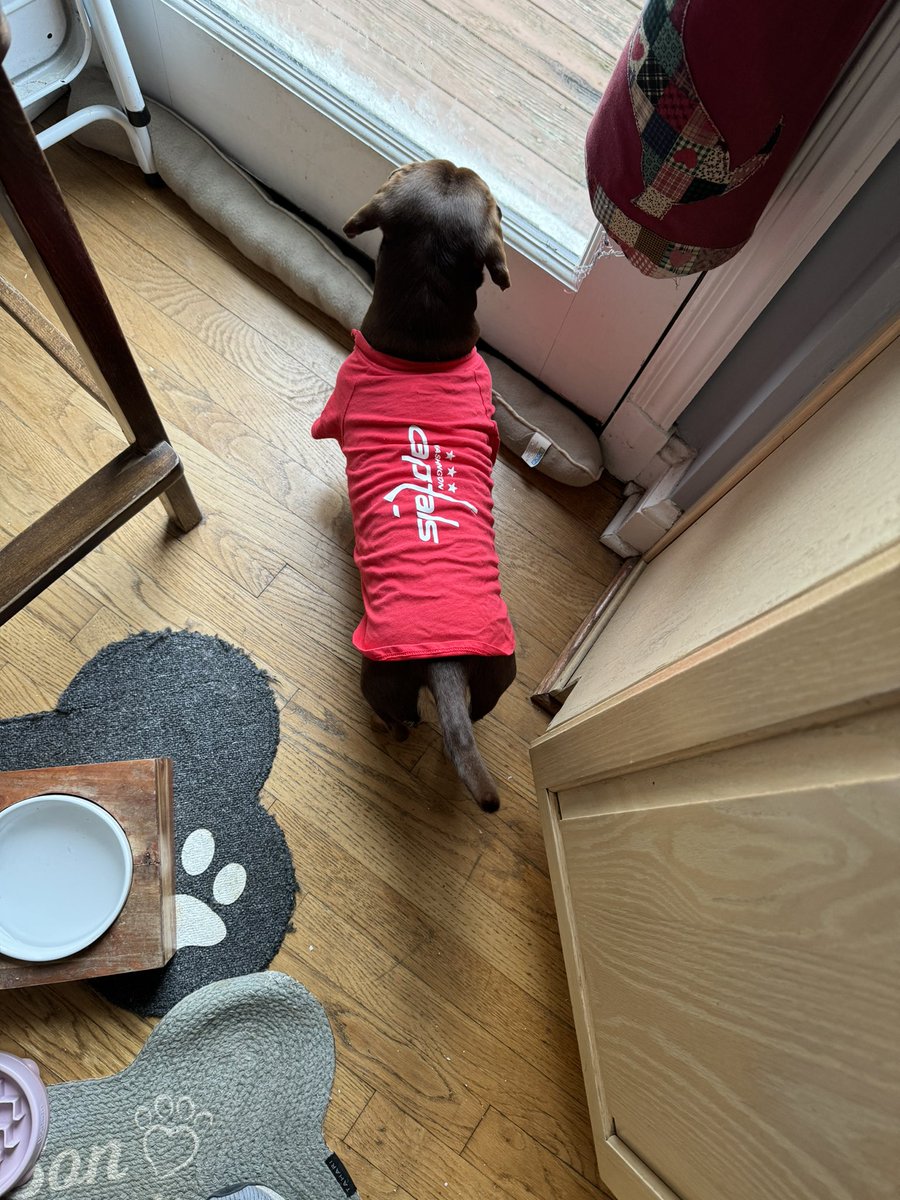 Honest Citizen tweet media