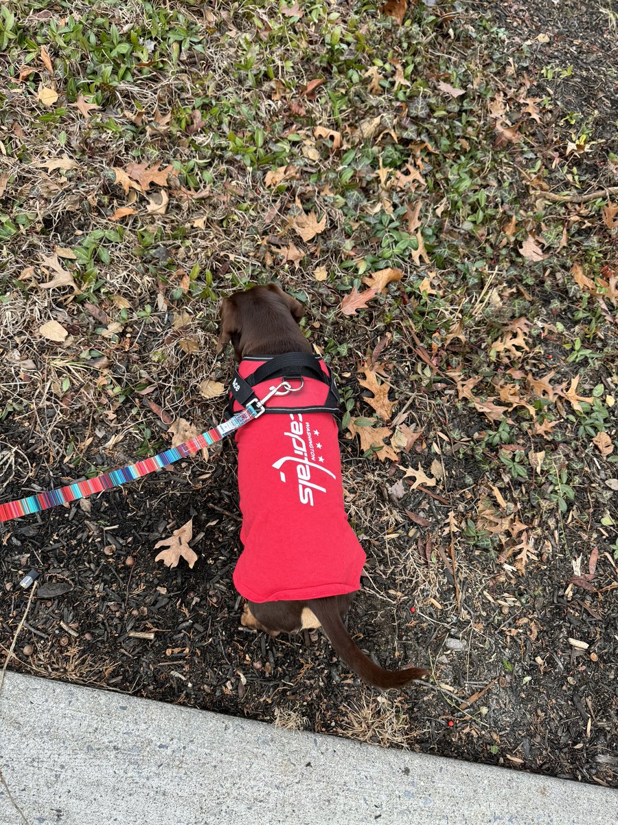 Honest Citizen tweet media