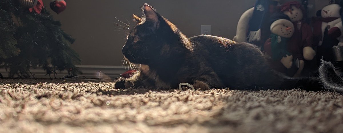 averageerror404's tweet image. new Twitter who&apos;s this?