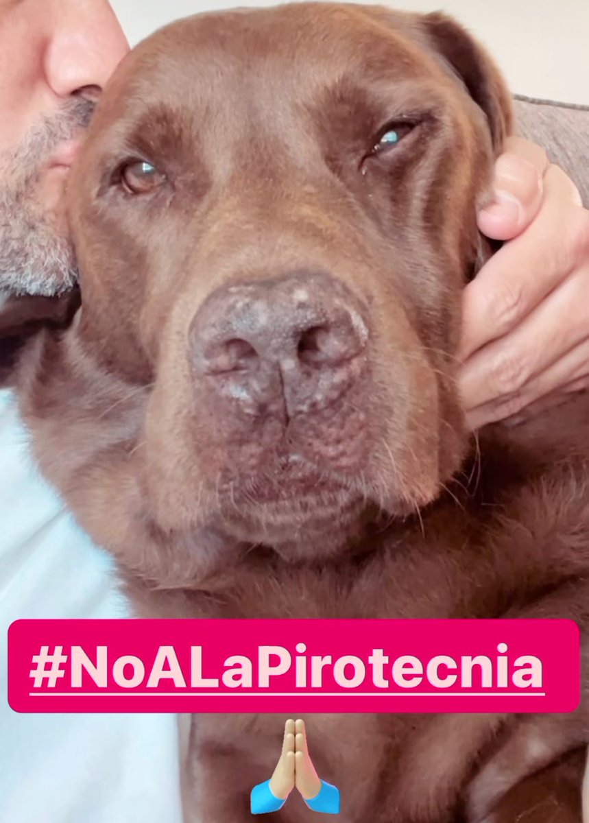 LucianoPereyra's tweet photo. #NoALaPirotecnia 🙏🏽 https://t.co/ZHpajJym8u