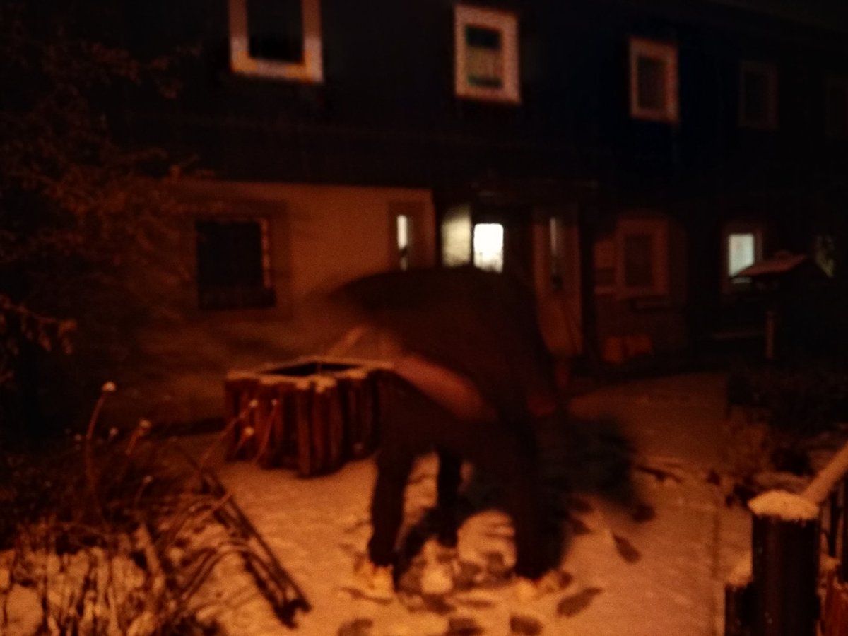 ezoderwitz's tweet photo. Vor Mitternacht noch mal schnell raus. Es liegt noch Schnee - halt schon bissel matschig. Aber für ne kleine Schneeballschlacht reicht's.
#Weihnachten #drheeme #Winterkinder https://t.co/EfSfT1keOs