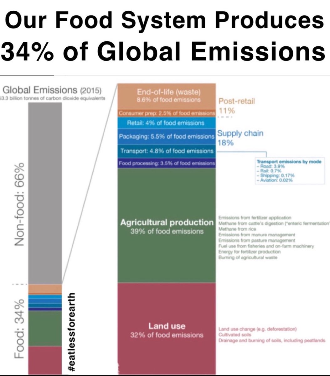 grannie_talk's tweet photo. The woke mind virus prevents environmentalists from saying:

“Eat less for Earth.”

#WokeMindVirus #eatlessforearth #ClimateAction #ClimateActionNow #ClimateCrisis #handsoffmymeat https://t.co/nxNjO0VYZK