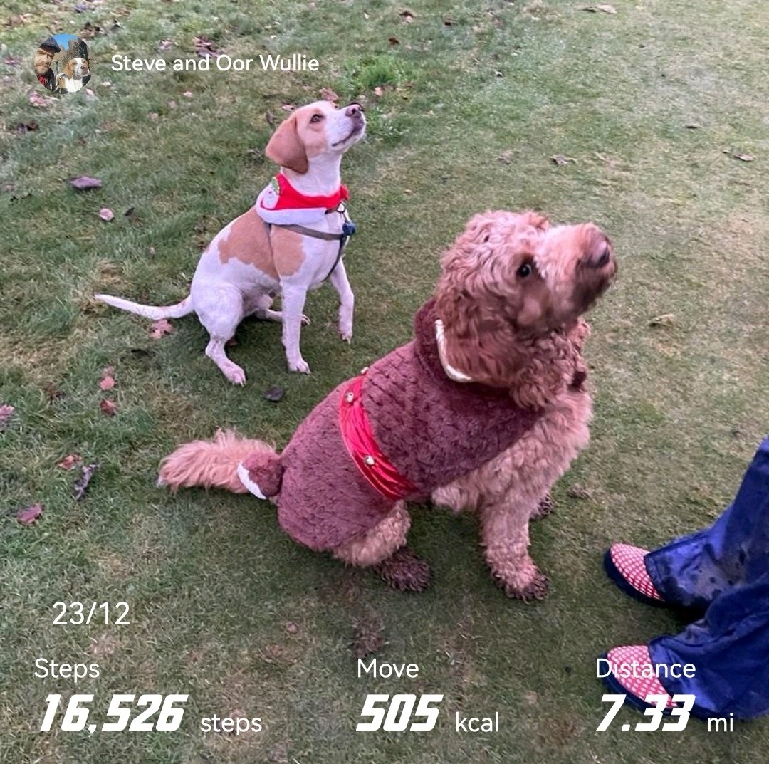 We've done a nice 7 miles today, met many of Wullies four legged friends along the way, including Luca the labradoodle pictured here. Ready for bed now. Good night all and may peace, love and happiness be with you all.