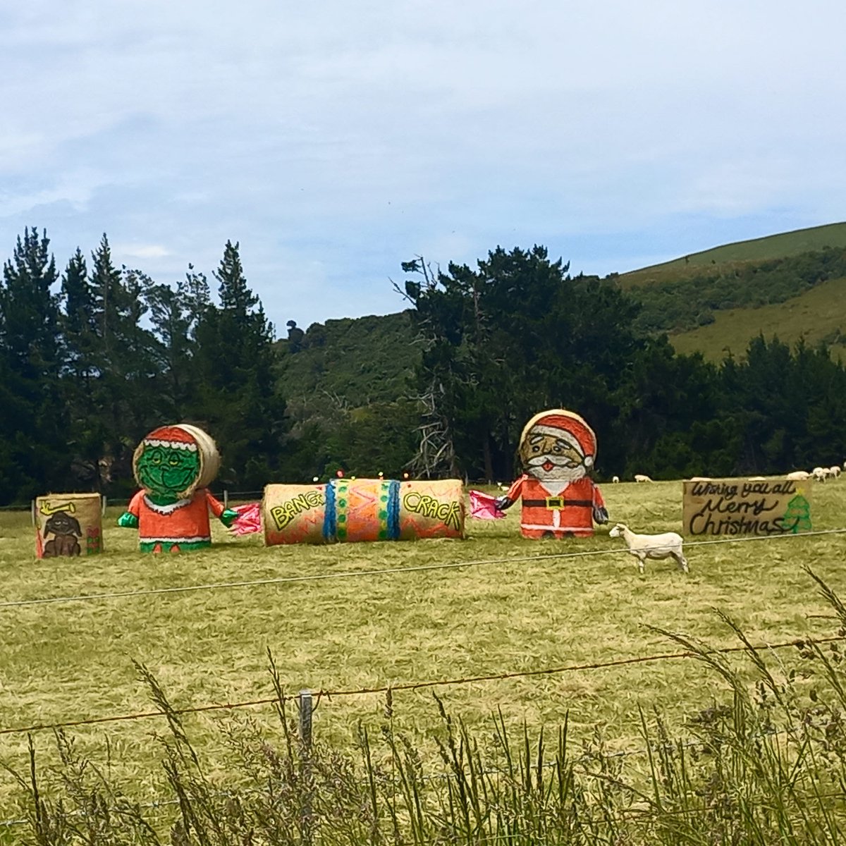 Nigel_Cowburn's tweet photo. Hay!, it's Christmas.
Taken on SH1 east of Waipahi, South Otago, #NZ. Many farms do something like this at Christmas but this farm's really lifting the bar, simple effective and fun graphics with nothing more than hay and agricultural marking paint. https://t.co/Qmu2uFQXQL