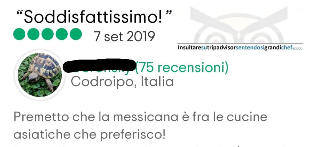 #insultaresutrip #recensioni #ridere #funny
Sei curioso? Ma fino a che punto... amzn.to/41wvuSN