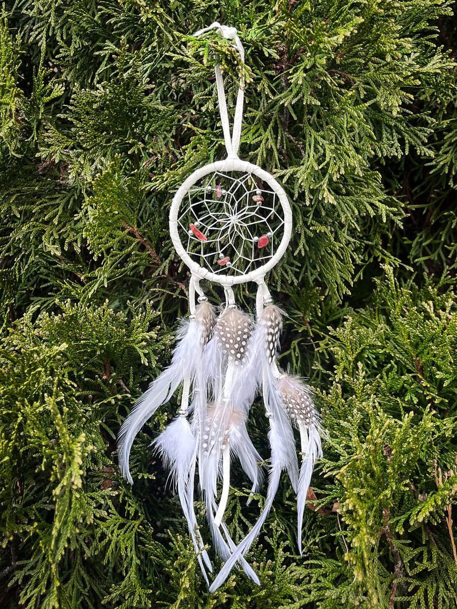 SpruceLab Inc. tweet media