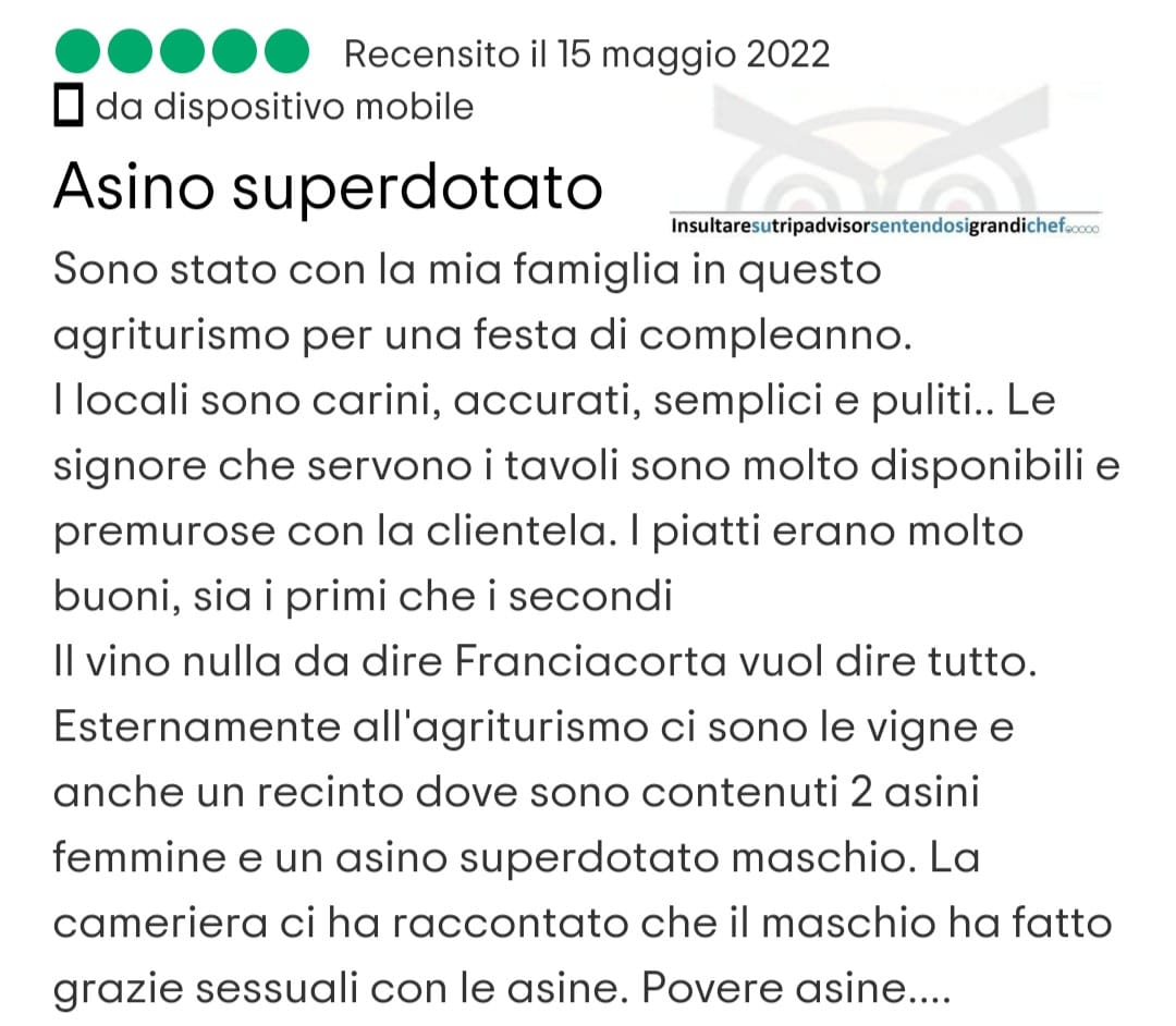 #insultaresutrip #recensioni #ridere #funny
Sei curioso? Ma fino a che punto... amzn.to/41wvuSN