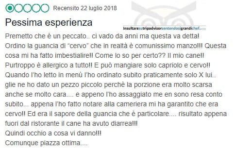 #insultaresutrip #recensioni #ridere #funny
Sei curioso? Ma fino a che punto... amzn.to/41wvuSN