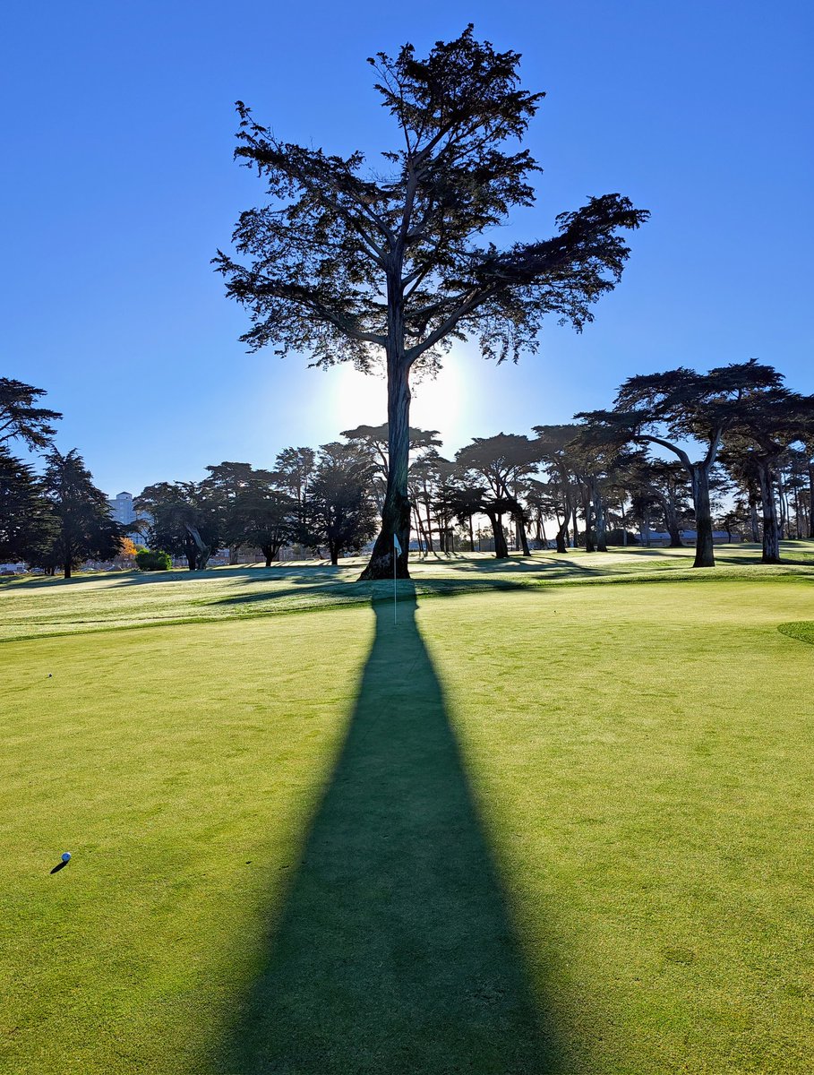 JoaquinAyusoSF's tweet image. Today at #HardingPark #SanFrancisco