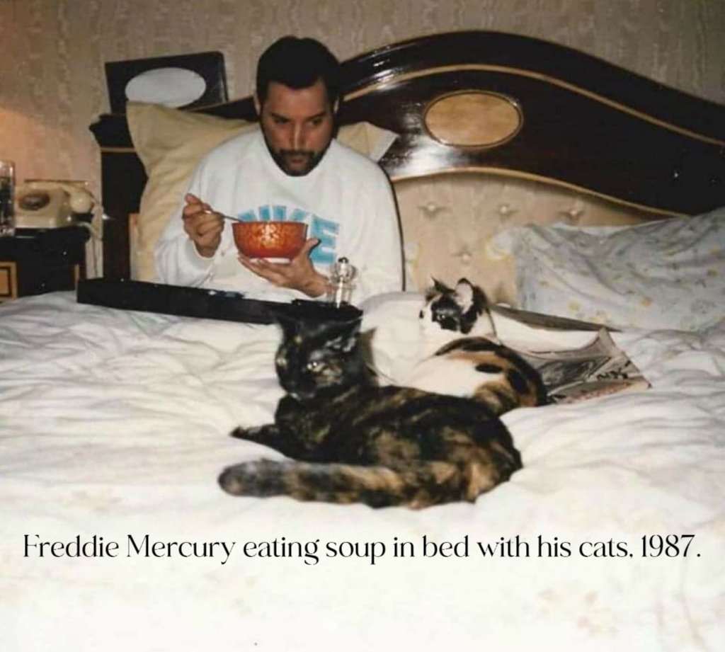 Caturday...good soup.