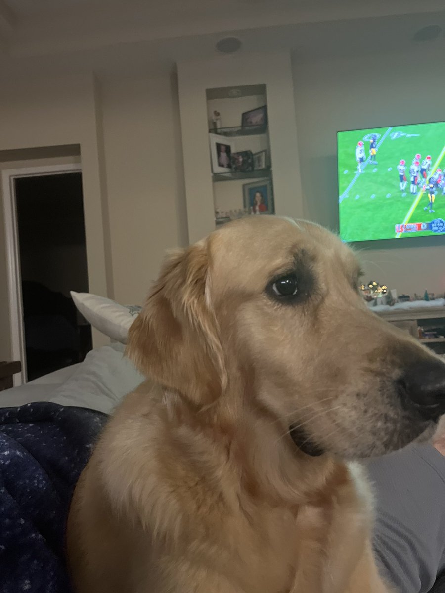 BDrake52184's tweet photo. Who needs blankets when you have dogs just putting their entire body weight on you? #ThanksMaya https://t.co/v8GUoZo4yM