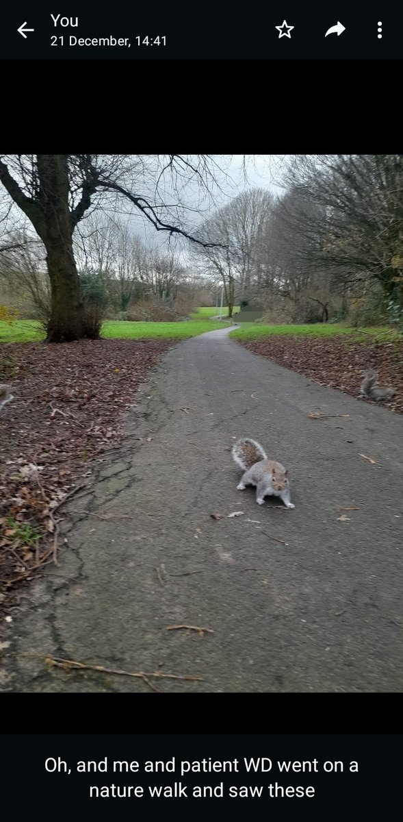 Ruth Haley tweet media