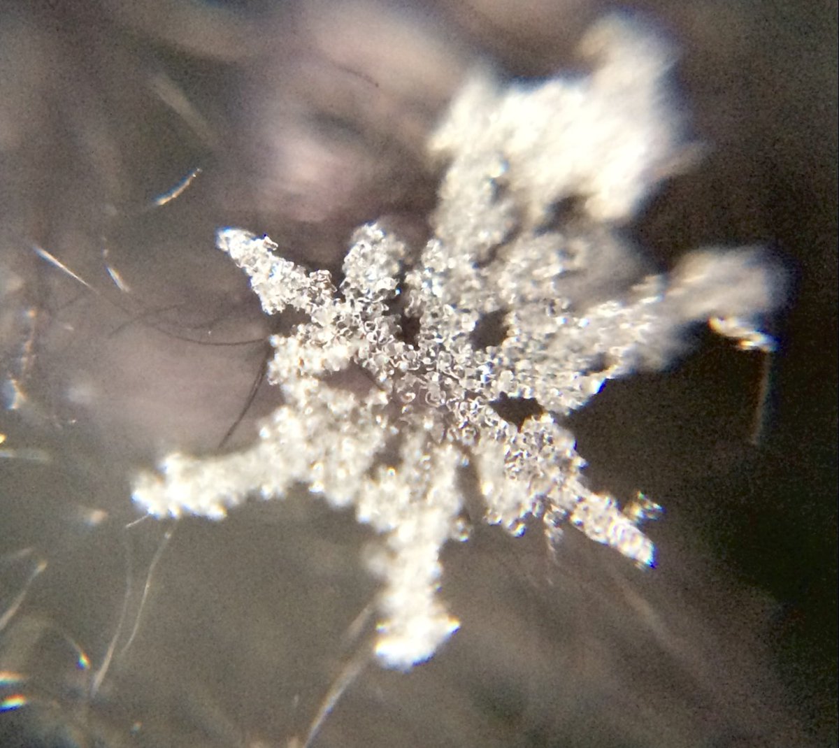 ScopesWorkshop's tweet photo. Snowflake on a black mitten — photo taken on a DIY microscope by a student! Looking forward to helping educators at #ncties24 build these microscopes.
#diymicroscope #ncties #ncties2024 #nced #stem #steam https://t.co/f4CNuAXjJL