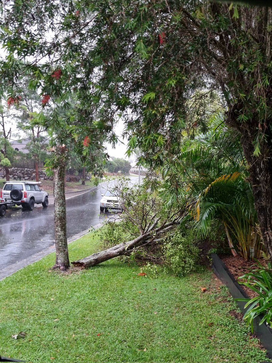 RyanDavidTaylor's tweet photo. Tree-mendous Xmas storm here in North Brisbane. https://t.co/PU3Pjbq43u