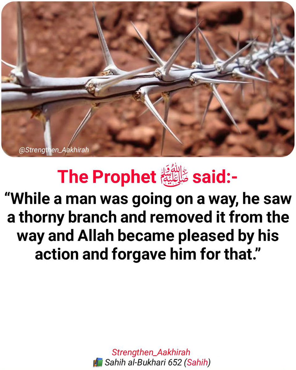 7signxx's tweet photo. The Messenger of Allah ﷺ said: https://t.co/xUHPQbTEd7