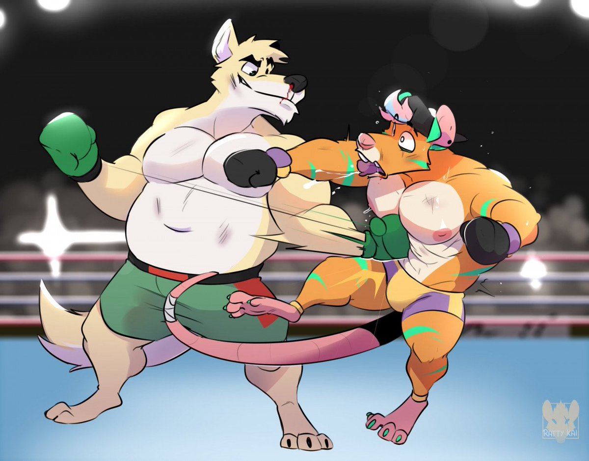 @AngeloFalls If he was a boxer, I'd pit him against my dingo, Dane! (Art by the amazing @RattyKai)