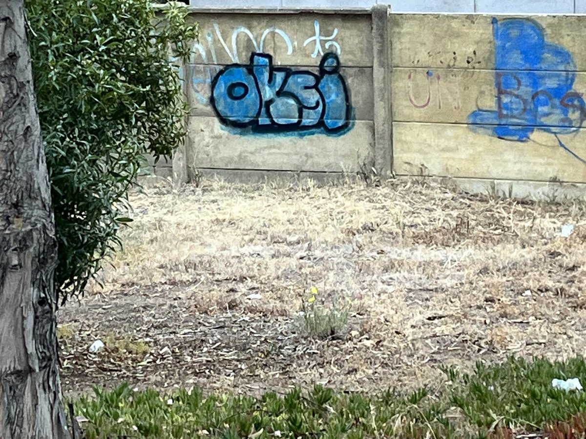 Shineyourstyle's tweet photo. @alertaconcon @municoncon que pasa en Concón con todos los lugares verdes secándose y llenos de basura , Concon y sus habitantes necesitan parques . https://t.co/UxwtZsL52n