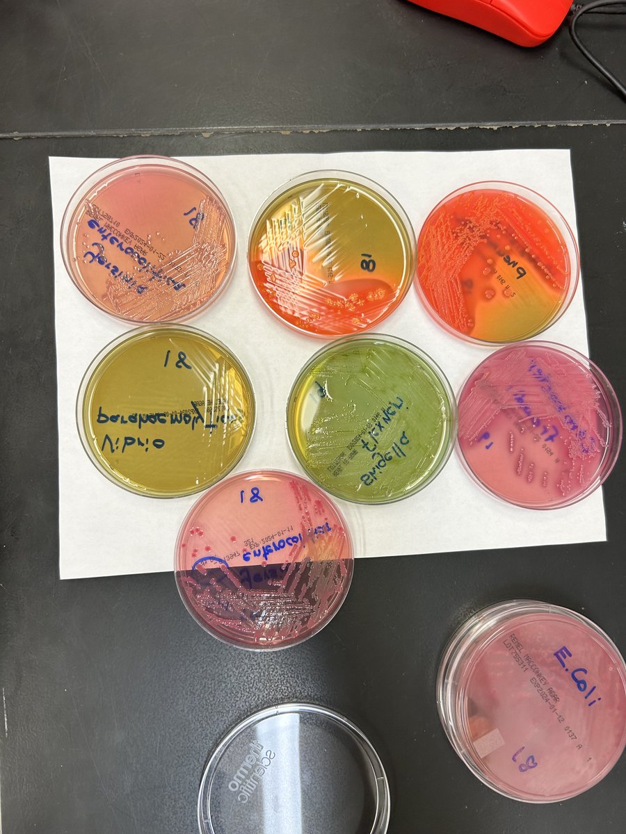 Wayne State ID Fellowship tweet media