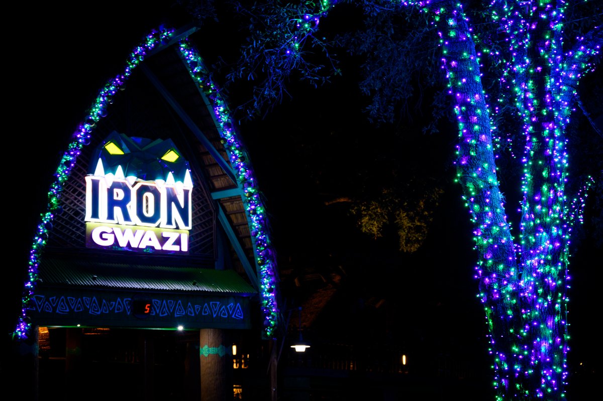 amusementhunt's tweet photo. I'm, dreaming, of a Gwazi Christmas... @BuschGardens November 2023. #rollercoaster #buschgardenstampabay #buschgardens #rmcit https://t.co/hqHv0jsMVY