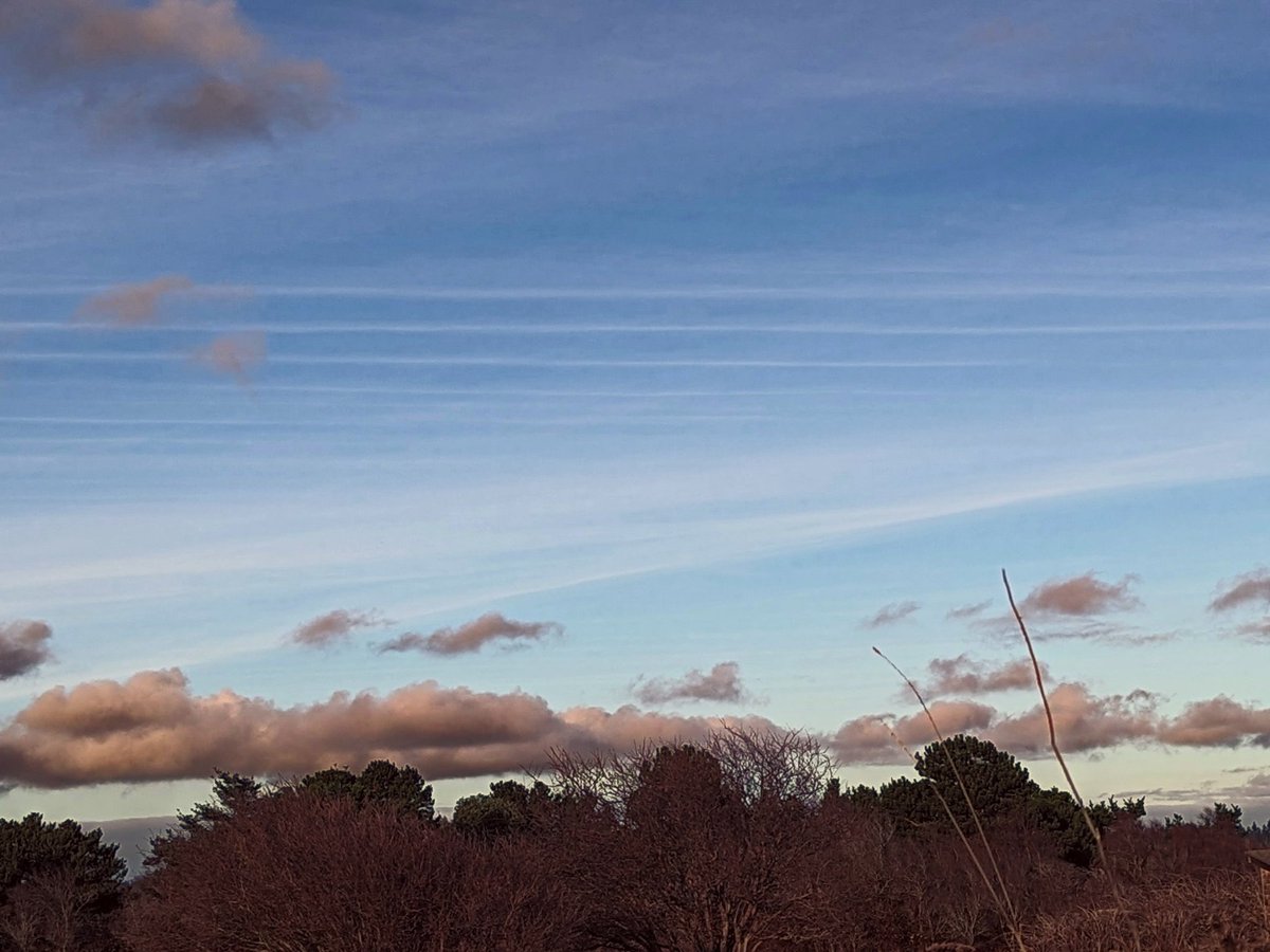 MuketyMuk's tweet image. Cherry Point refinery  and Mount Baker on a crisp winter day wind southeast ~15 km/h. View from Point Roberts Lighthouse Park. Lily pt to the east. Very chilly despite the sun.  Cirrus Wave cloud stripes to the northeast. #WXWA #BCStorm