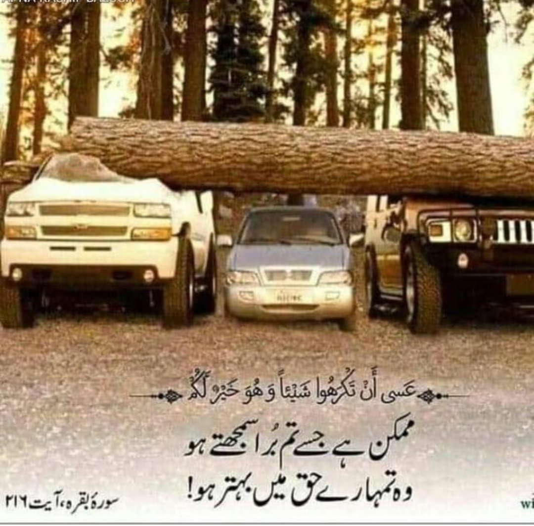 Awazarii's tweet photo. 🫶💯 https://t.co/J6Ja05ocFD