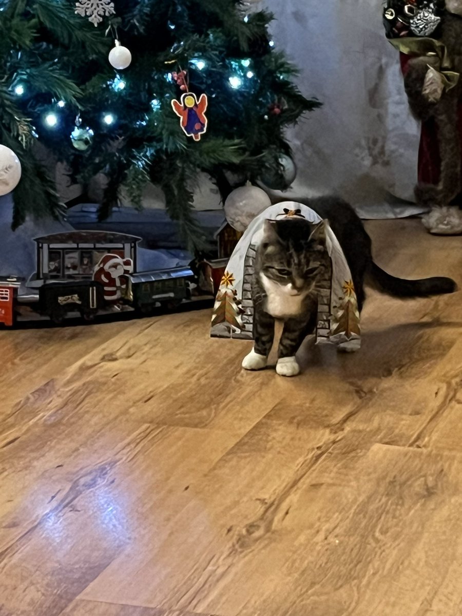 stephBass4's tweet photo. @JaneyGodley caught playing with the train set under the tree 😂 https://t.co/oSyRHuVcjo